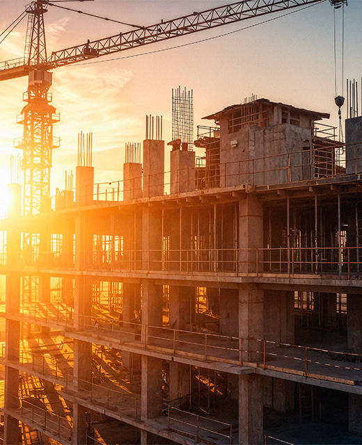 Black Scorpion Construction Project