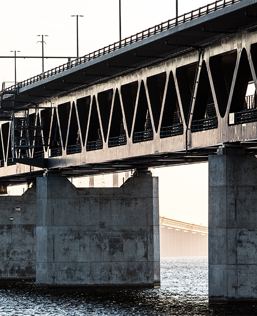 Black Scorpion Construction Project